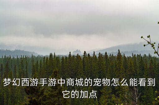 梦幻西游手游中商城的宠物怎么能看到它的加点