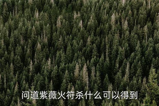 问道紫薇火符杀什么可以得到