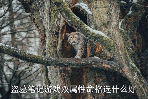 盗墓笔记游戏双属性命格选什么好