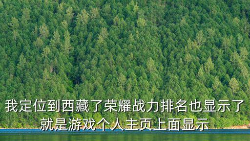 我定位到西藏了荣耀战力排名也显示了就是游戏个人主页上面显示