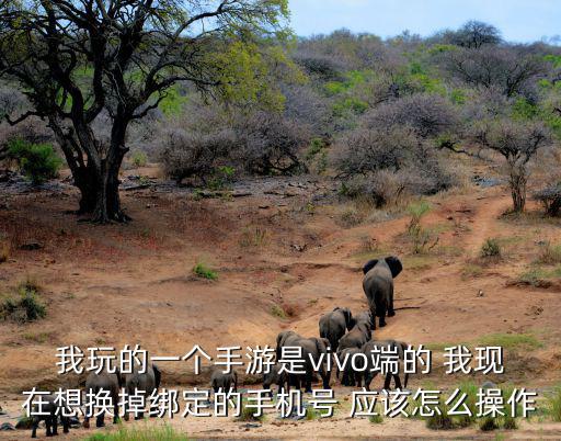 我玩的一个手游是vivo端的 我现在想换掉绑定的手机号 应该怎么操作