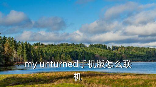 my unturned手机版怎么联机