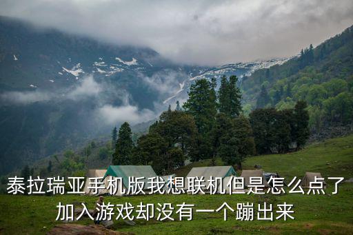 泰拉瑞亚手机版我想联机但是怎么点了加入游戏却没有一个蹦出来