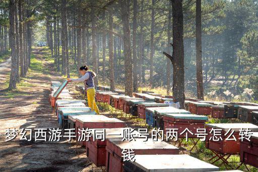 梦幻西游手游同一账号的两个号怎么转钱