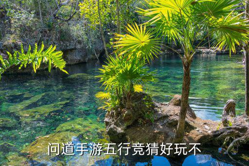 问道手游五行竞猜好玩不