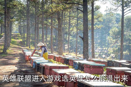 英雄联盟进入游戏选英雄怎么能退出来