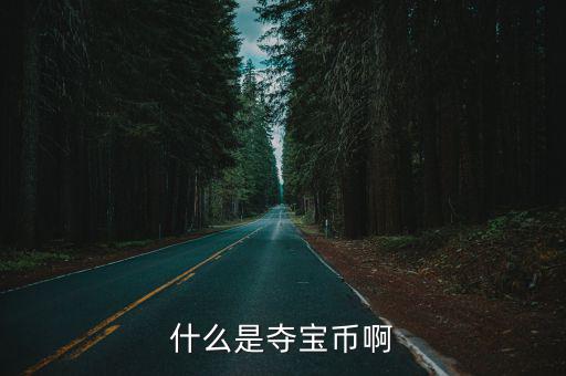 什么是夺宝币啊