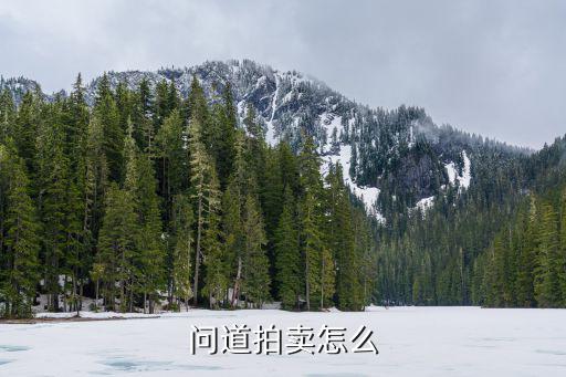 问道拍卖怎么