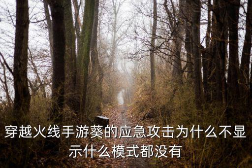 穿越火线手游葵的应急攻击为什么不显示什么模式都没有