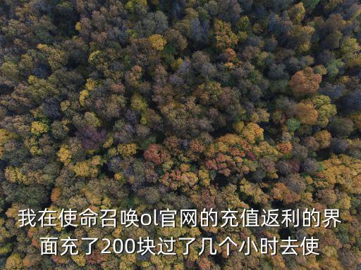 我在使命召唤ol官网的充值返利的界面充了200块过了几个小时去使