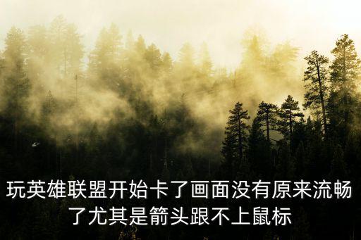 玩英雄联盟开始卡了画面没有原来流畅了尤其是箭头跟不上鼠标