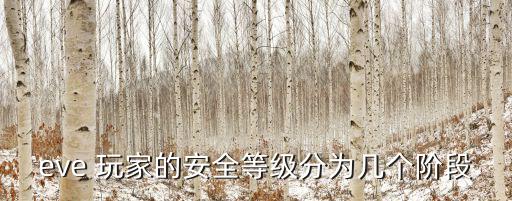 eve手游怎么看等级，eve怎么才能提升人物的安全等级