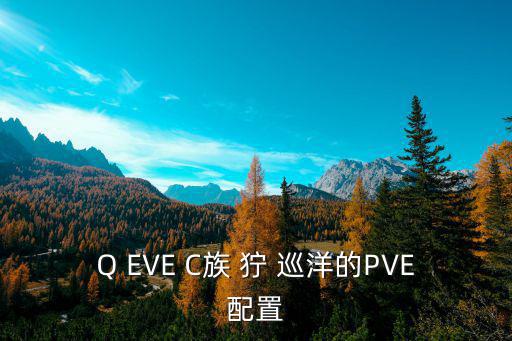 Q EVE C族 狞 巡洋的PVE配置