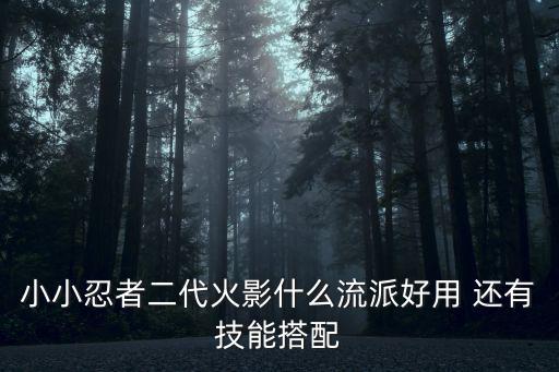 小小忍者二代火影什么流派好用 还有技能搭配