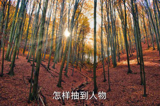 怎样抽到人物