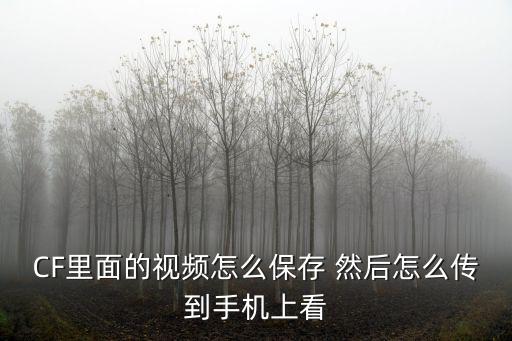 CF里面的视频怎么保存 然后怎么传到手机上看