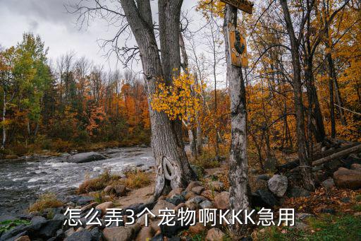 怎么弄3个宠物啊KKK急用