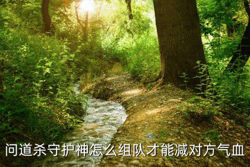 问道杀守护神怎么组队才能减对方气血