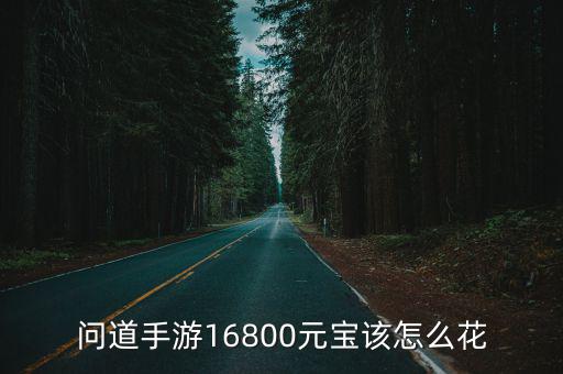 问道手游16800元宝该怎么花
