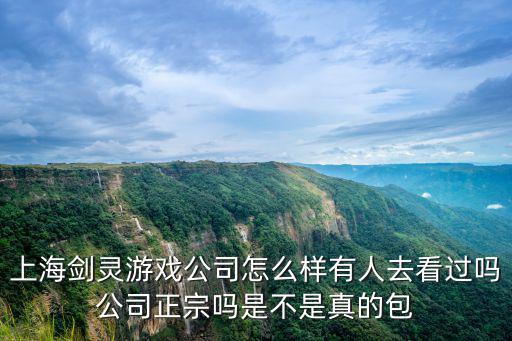 上海剑灵游戏公司怎么样有人去看过吗公司正宗吗是不是真的包