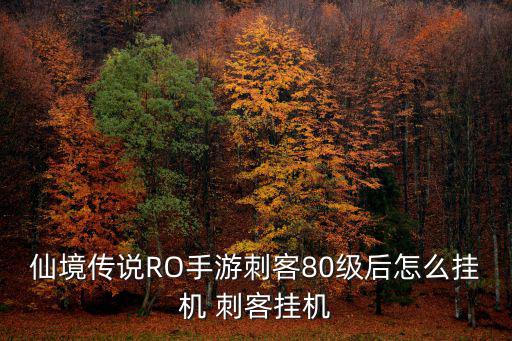 ro手游狂击怎么挂机，仙境传说ro手游狂击骑士怎么加点 狂击骑士加点攻略