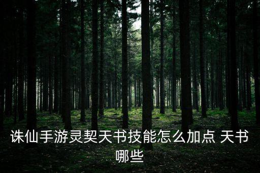 诛仙手游灵契天书技能怎么加点 天书哪些