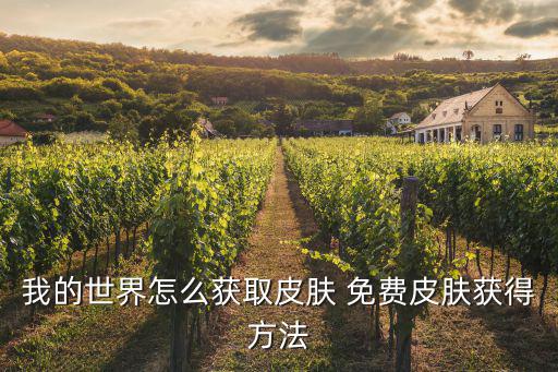 我的世界手游版怎么获取皮肤，我的世界手机版自定义皮肤怎么弄