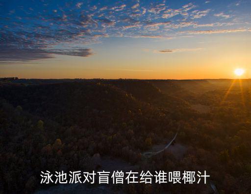 泳池派对盲僧在给谁喂椰汁