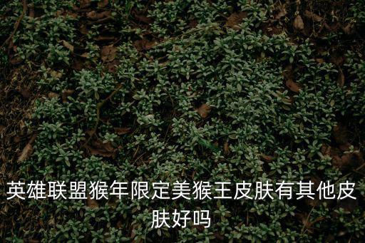 lol手游美猴王的皮肤怎么样，LOL猴年限定美猴王孙悟空怎么样多少钱