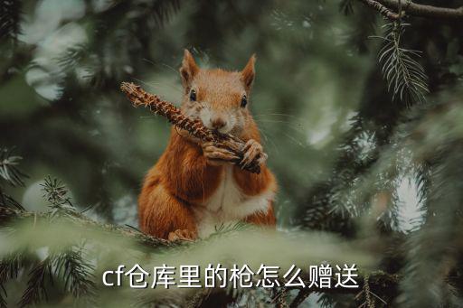 cf手游仓库里的枪怎么送，CF手游版如何送好友仓库里的枪