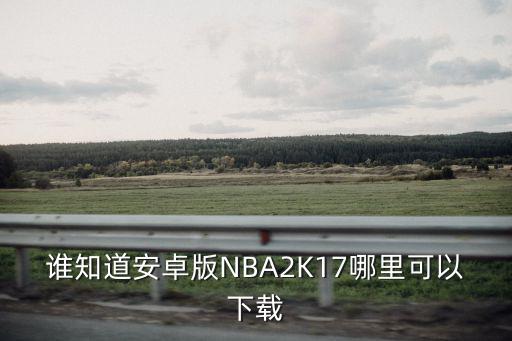 手游2k17怎么下载，谁知道安卓版NBA2K17哪里可以下载