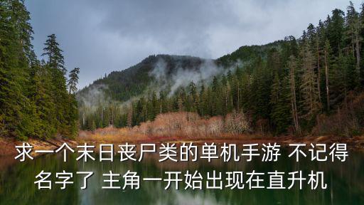 求一个末日丧尸类的单机手游 不记得名字了 主角一开始出现在直升机