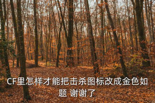CF里怎样才能把击杀图标改成金色如题 谢谢了