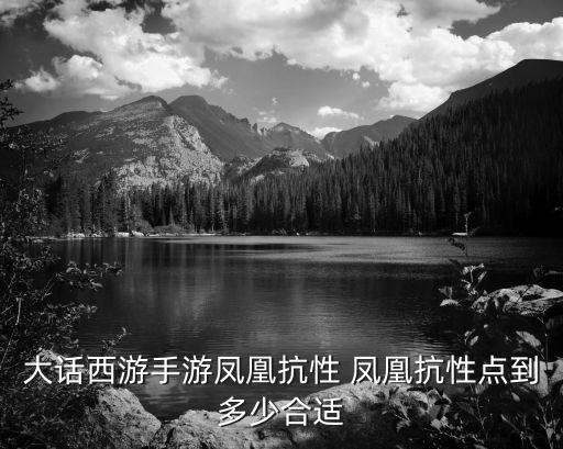 大话西游手游凤凰抗性 凤凰抗性点到多少合适