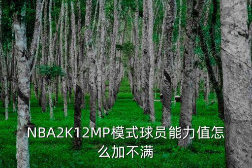 nba手游2k22属性怎么加，NBA2K12球员模式中锋属性怎么加