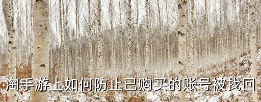 淘手游上如何防止已购买的账号被找回
