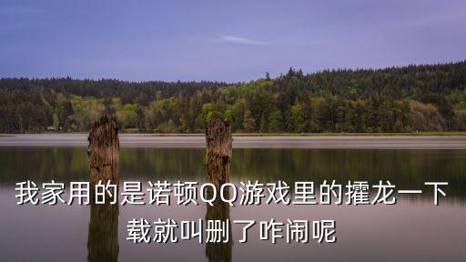 我家用的是诺顿QQ游戏里的攉龙一下载就叫删了咋闹呢