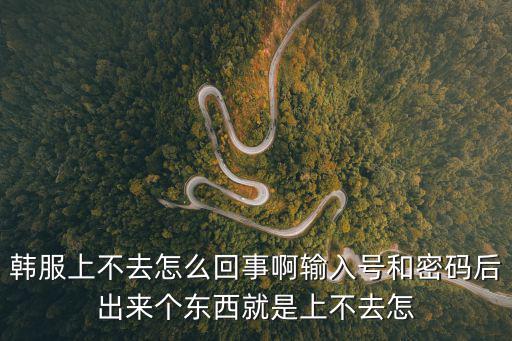 韩服上不去怎么回事啊输入号和密码后出来个东西就是上不去怎