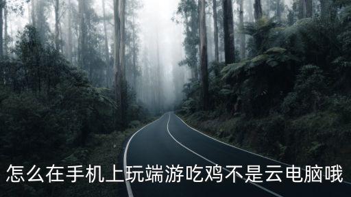 怎么在手机上玩端游吃鸡不是云电脑哦