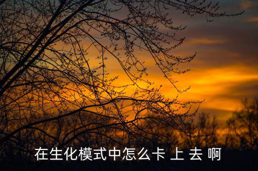 在生化模式中怎么卡 上 去 啊