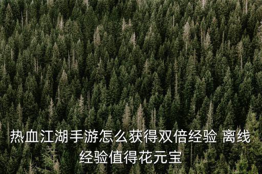 热血江湖手游怎么获得双倍经验 离线经验值得花元宝