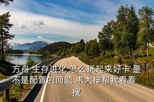 方舟 生存进化 怎么玩起来好卡 是不是配置的问题 求大神帮我看看 搜