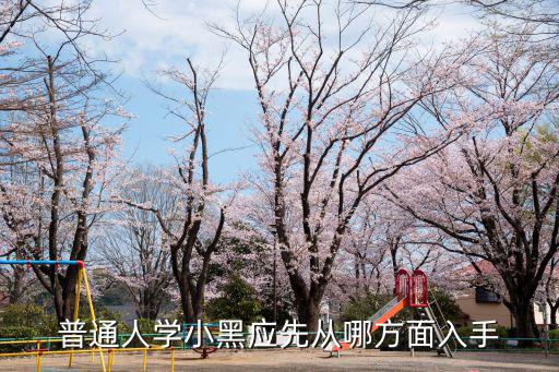 普通人学小黑应先从哪方面入手