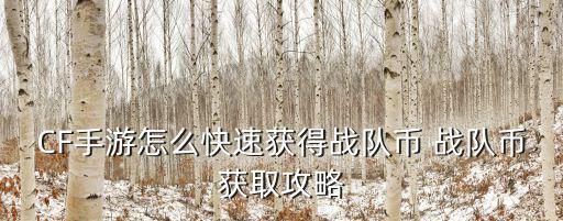 CF手游怎么快速获得战队币 战队币获取攻略