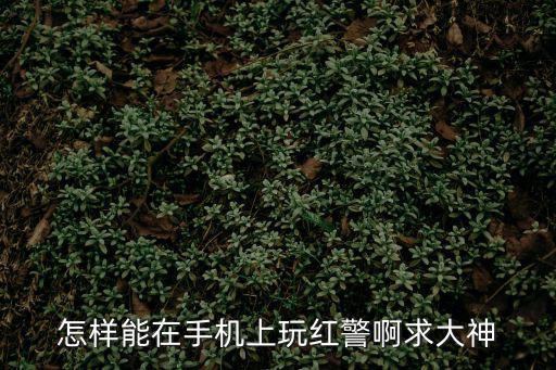 怎样能在手机上玩红警啊求大神