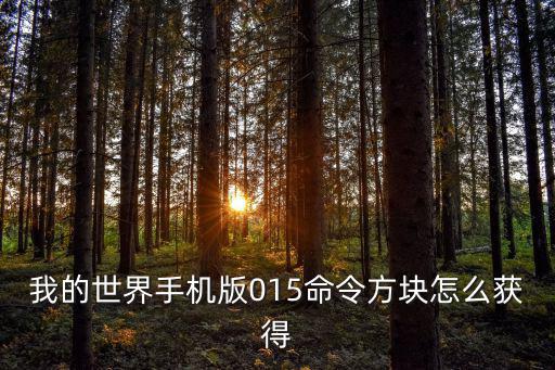 我的世界手机版015命令方块怎么获得