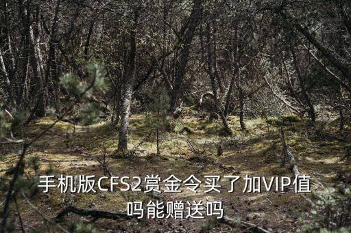手机版CFS2赏金令买了加VIP值吗能赠送吗