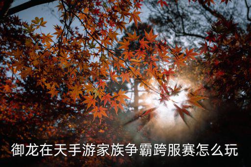 御龙在天手游家族争霸跨服赛怎么玩
