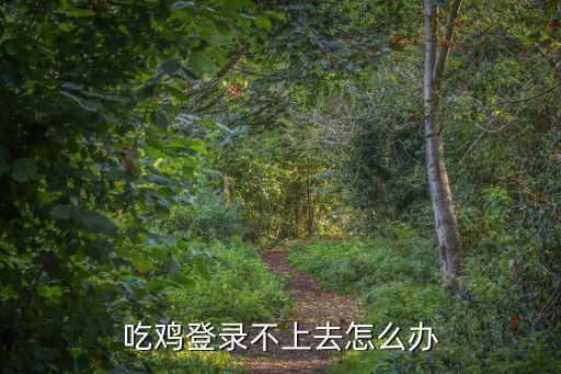 吃鸡登录不上去怎么办