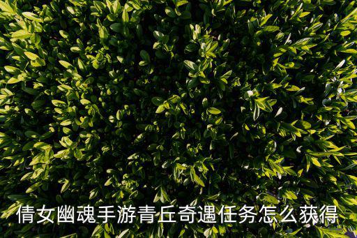 倩女幽魂手游青丘奇遇任务怎么获得